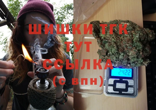 винт Надым