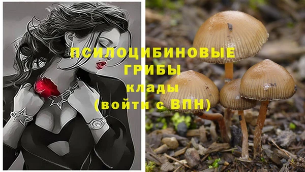 бошки Алапаевск